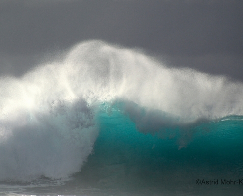 02 Hawaii 2 Wave #1